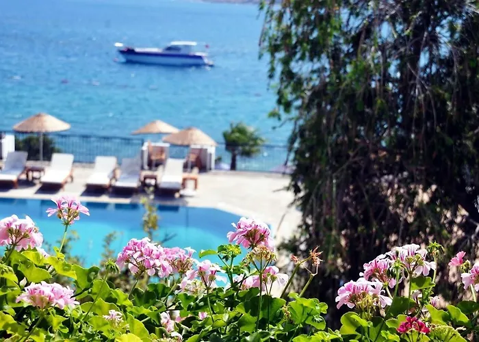 Omar Hotel & Suites