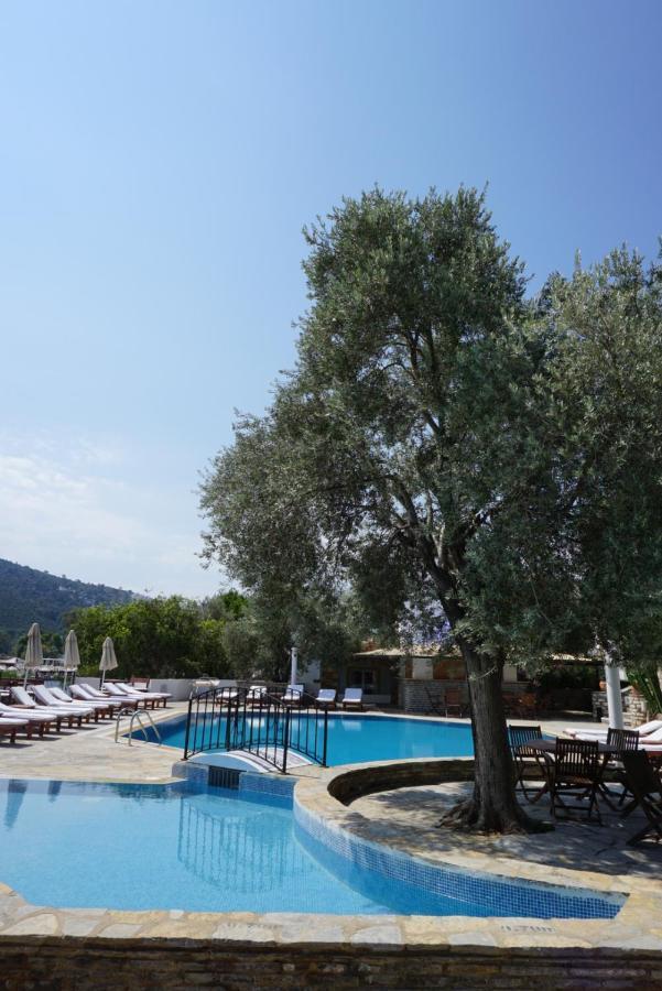 Omar & Otel Torba