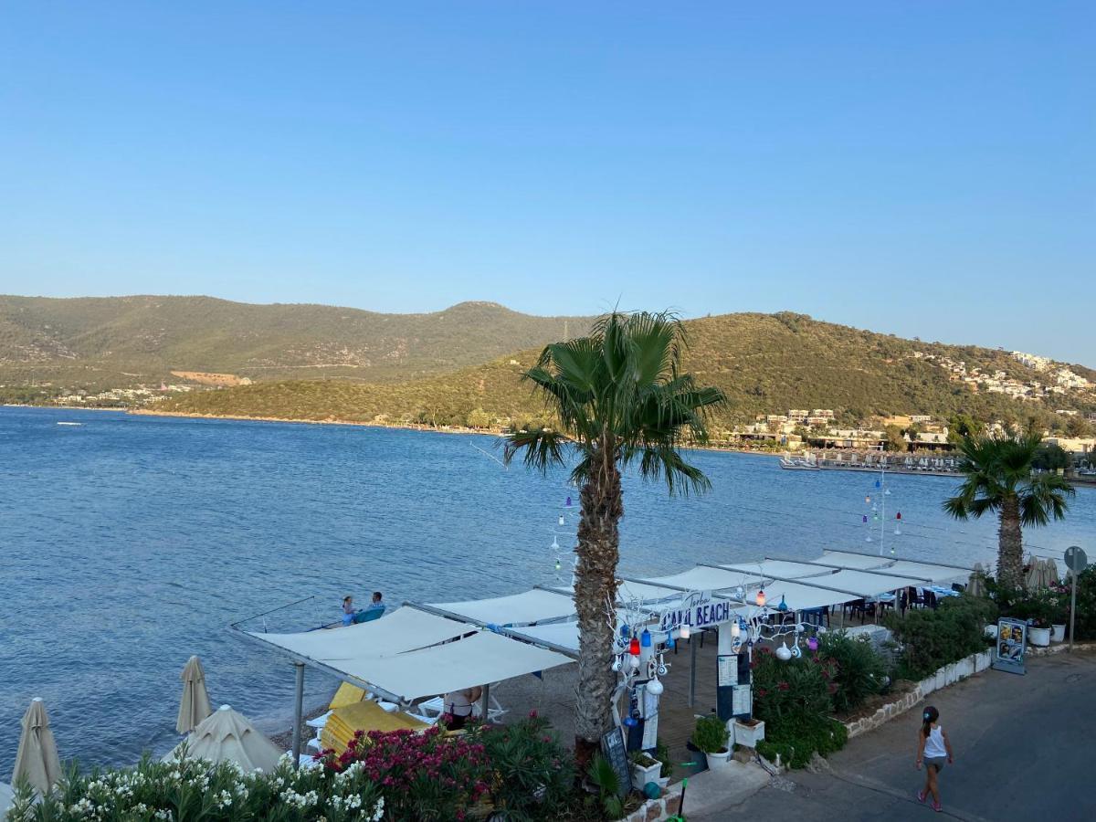 Omar & Otel Torba