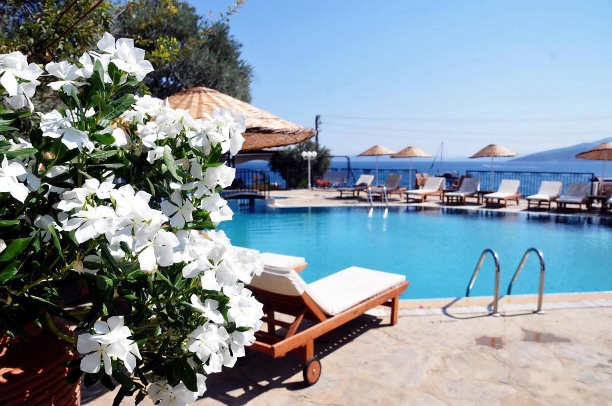 Otel Omar & 3*