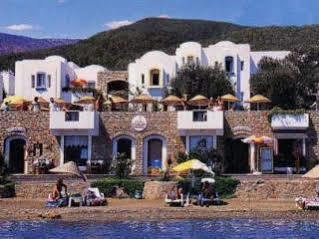 Omar & Otel