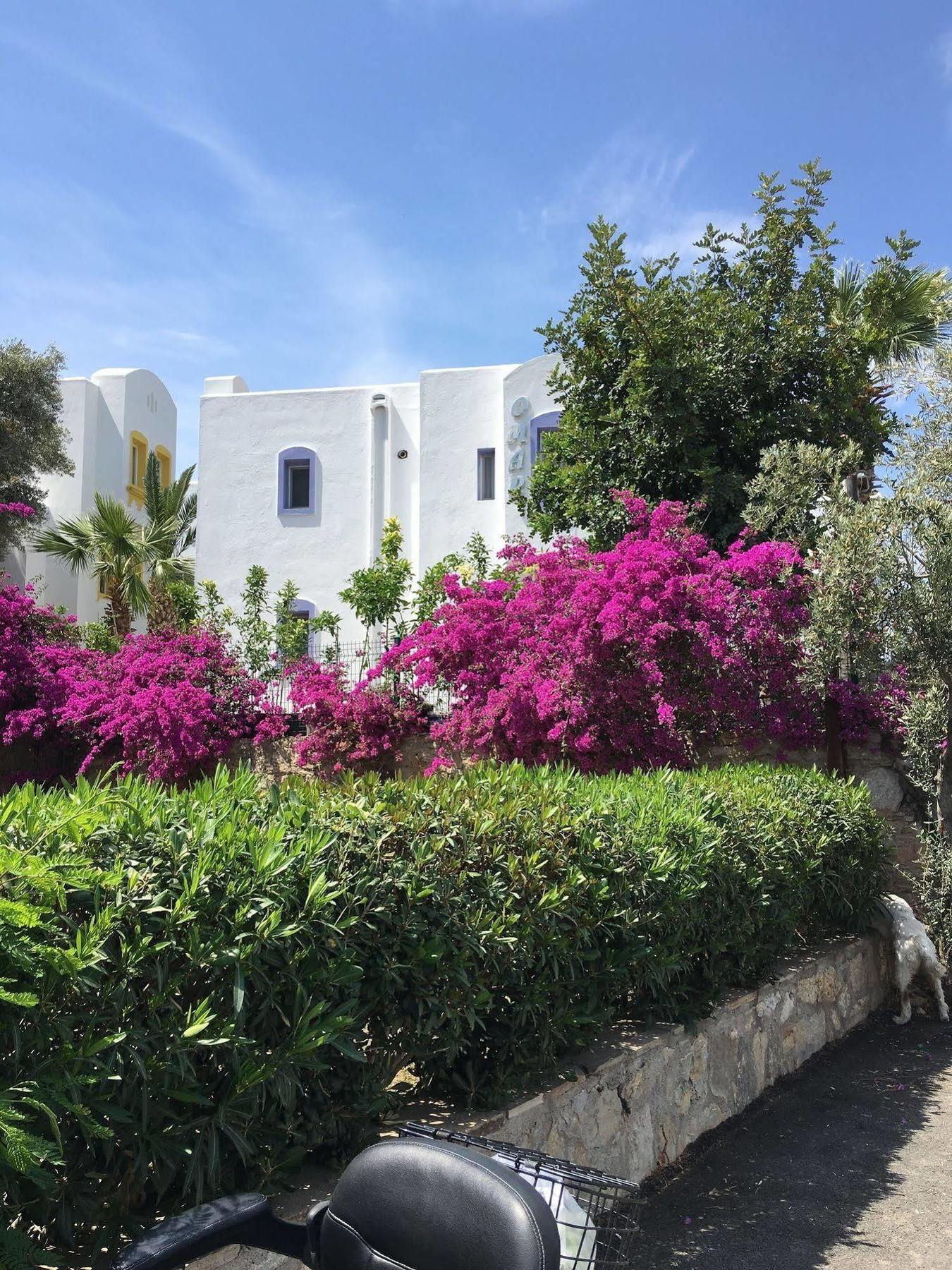 Otel Omar & Torba