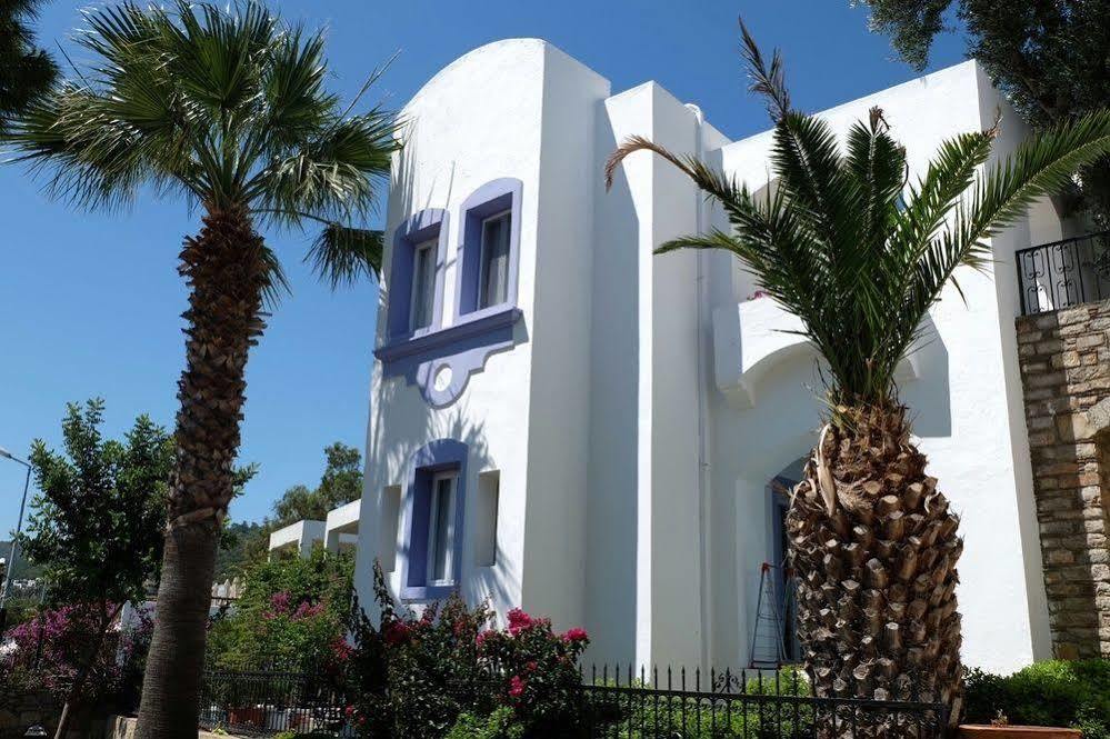 Otel Omar & 3*